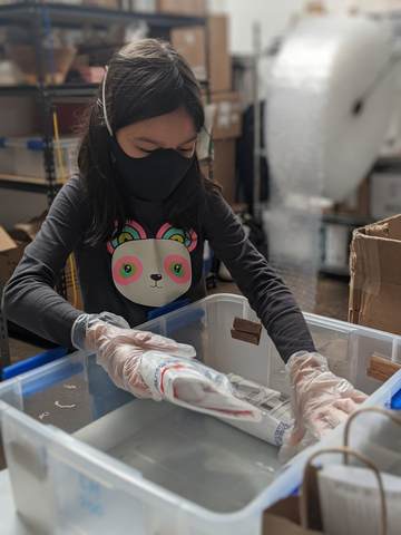A Xocolatl Update #2 (June 5th, 2020)