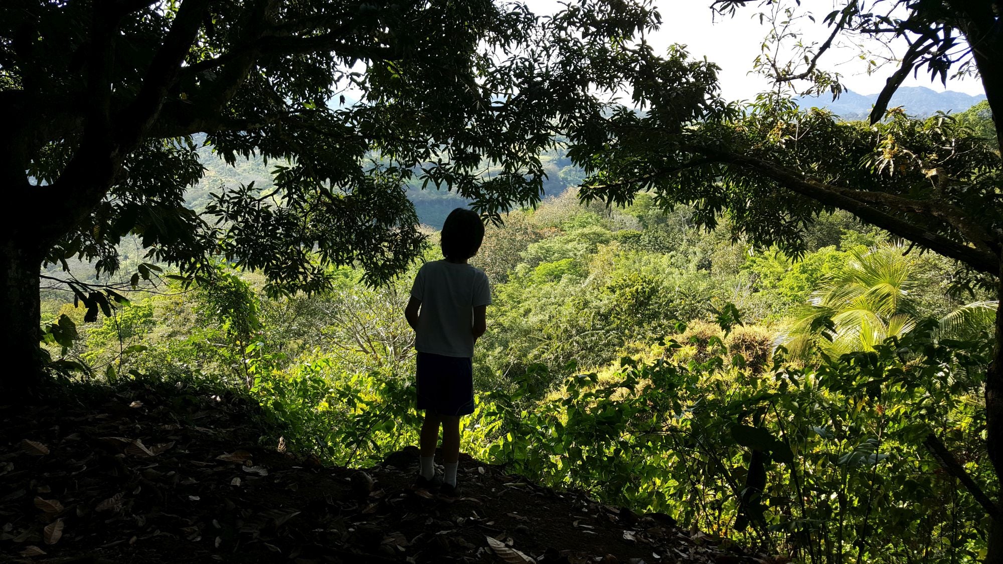 Elaine and Matt’s son looking out over rainforest on a cacao farm in Nicaragua.