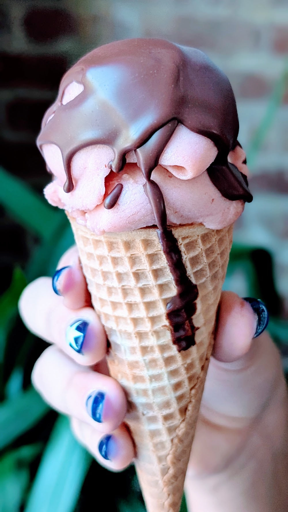 Homemade Chocolate Magic Shell Recipe (Just 2 Ingredients)