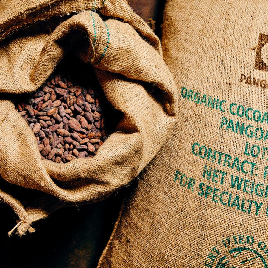 A large, opened burlap bag full of reddish brown cacao seeds rests against another full bag with the words "Organic Cocoa" printed on the burlap front.