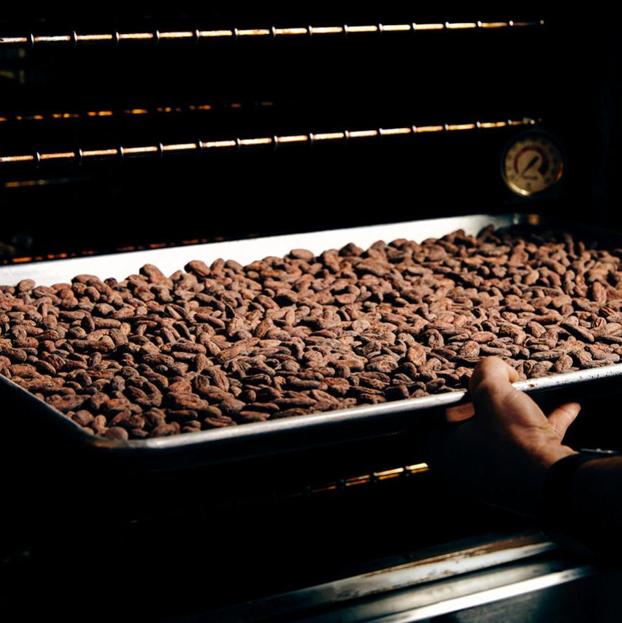 A hand pushes a silver baking sheet pan full of reddish-brown cacao beans into an oven to roast.