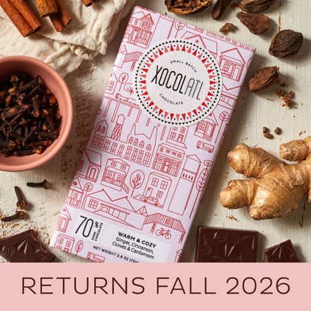Warm & Cozy Ginger Spiced Dark Chocolate Bar – Xocolatl Small