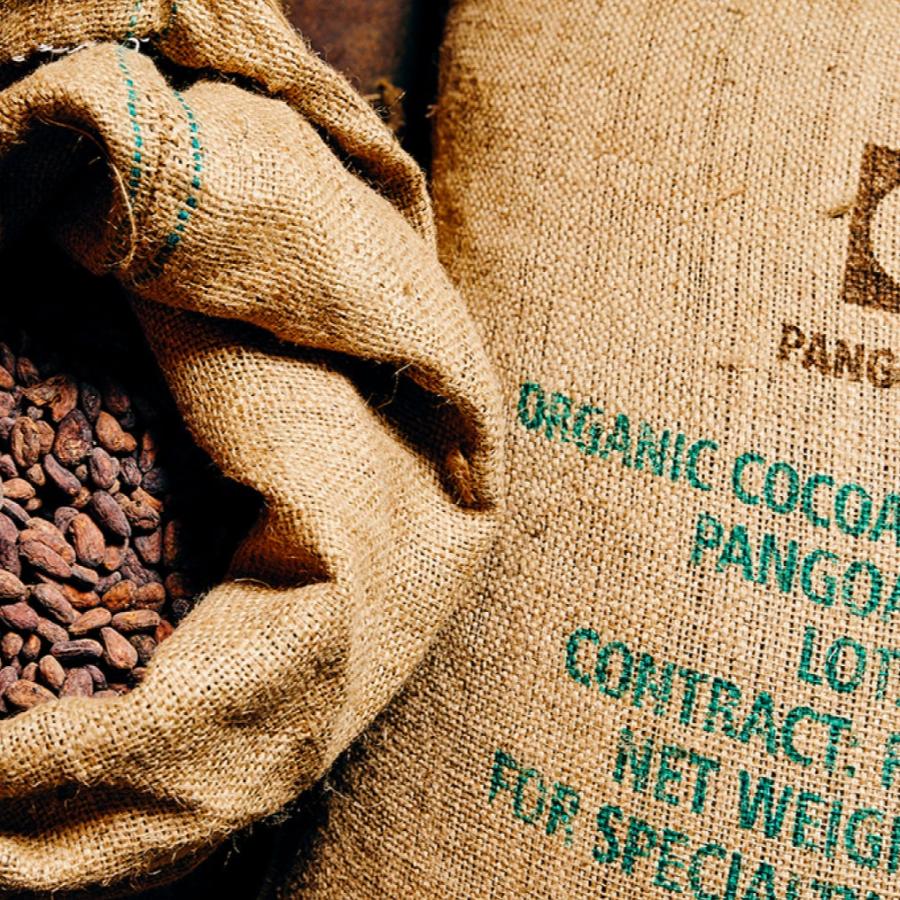 A large, opened burlap bag full of reddish brown cacao seeds rests against another full bag with the words "Organic Cocoa" printed on the burlap front.