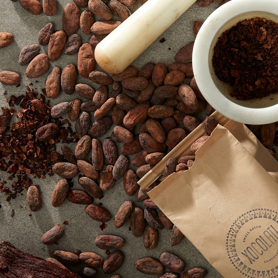 Raw Organic Cacao Beans Xocolatl Small Batch Chocolate